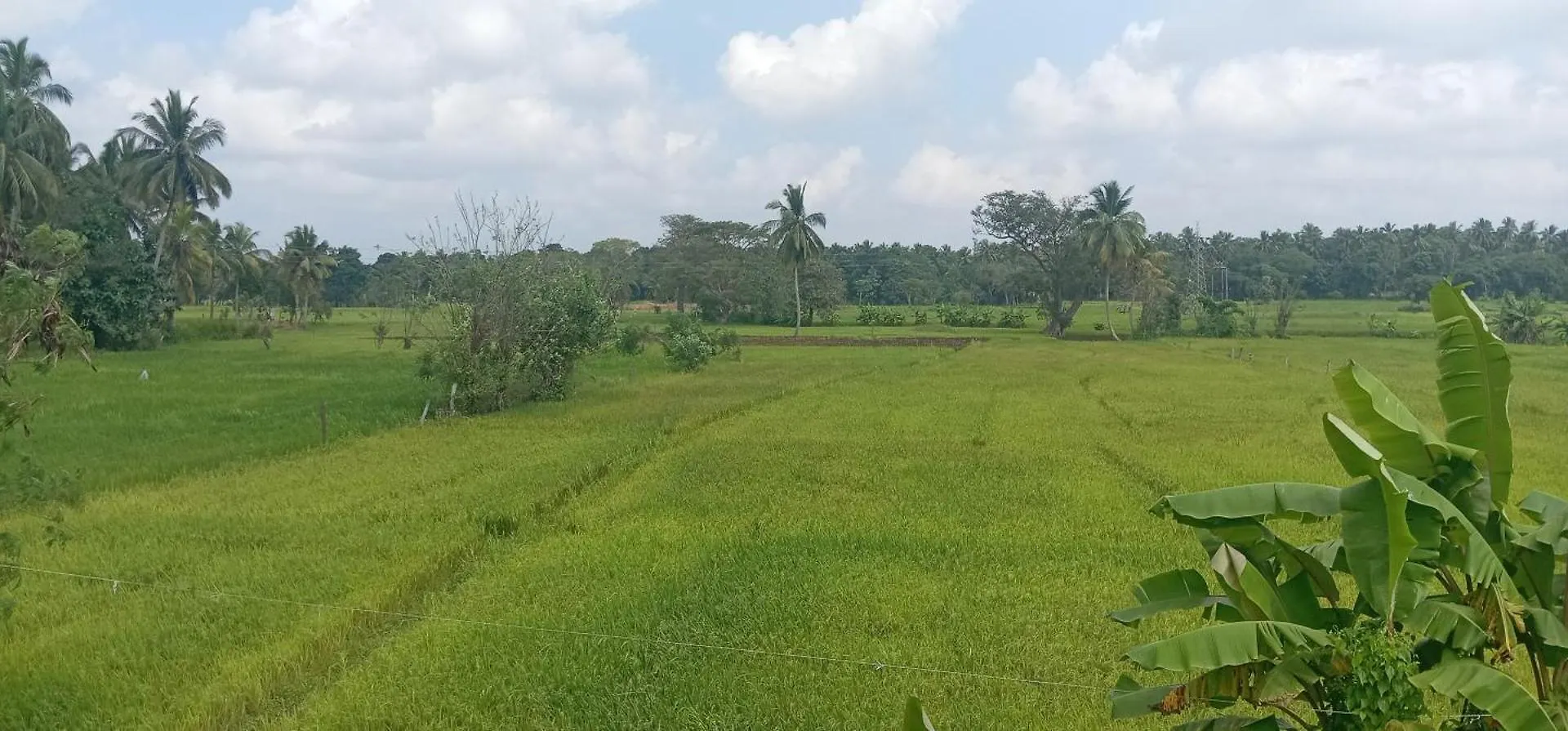 Peacock Lake Villa Habarana