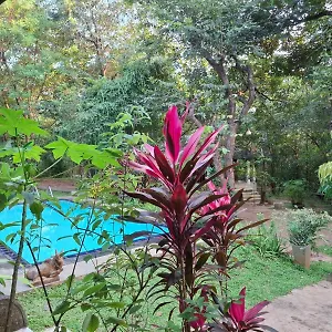  Villa Villa Habarana